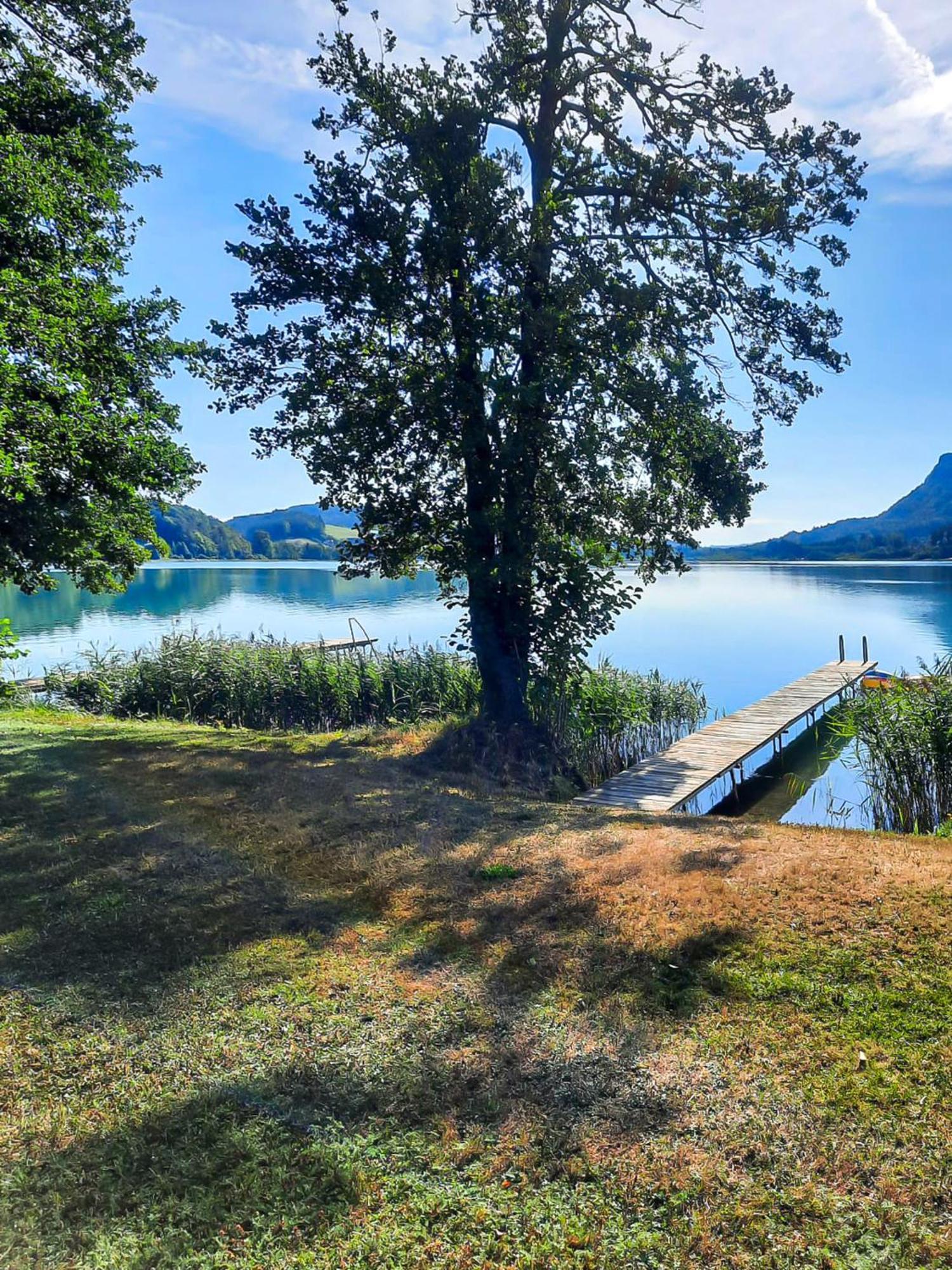 Ferienwohnungen Am See Haus Spitzer 코이차흐 암 제 외부 사진